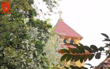 Hà Nội đẹp dịu dàng trong sắc trắng hoa sưa